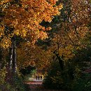 FGM 035 Motzko Josef